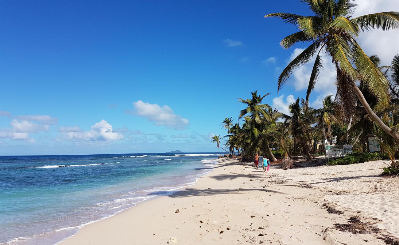 Photo de Pelican Cove beach avec sable fin et lumineux de surface