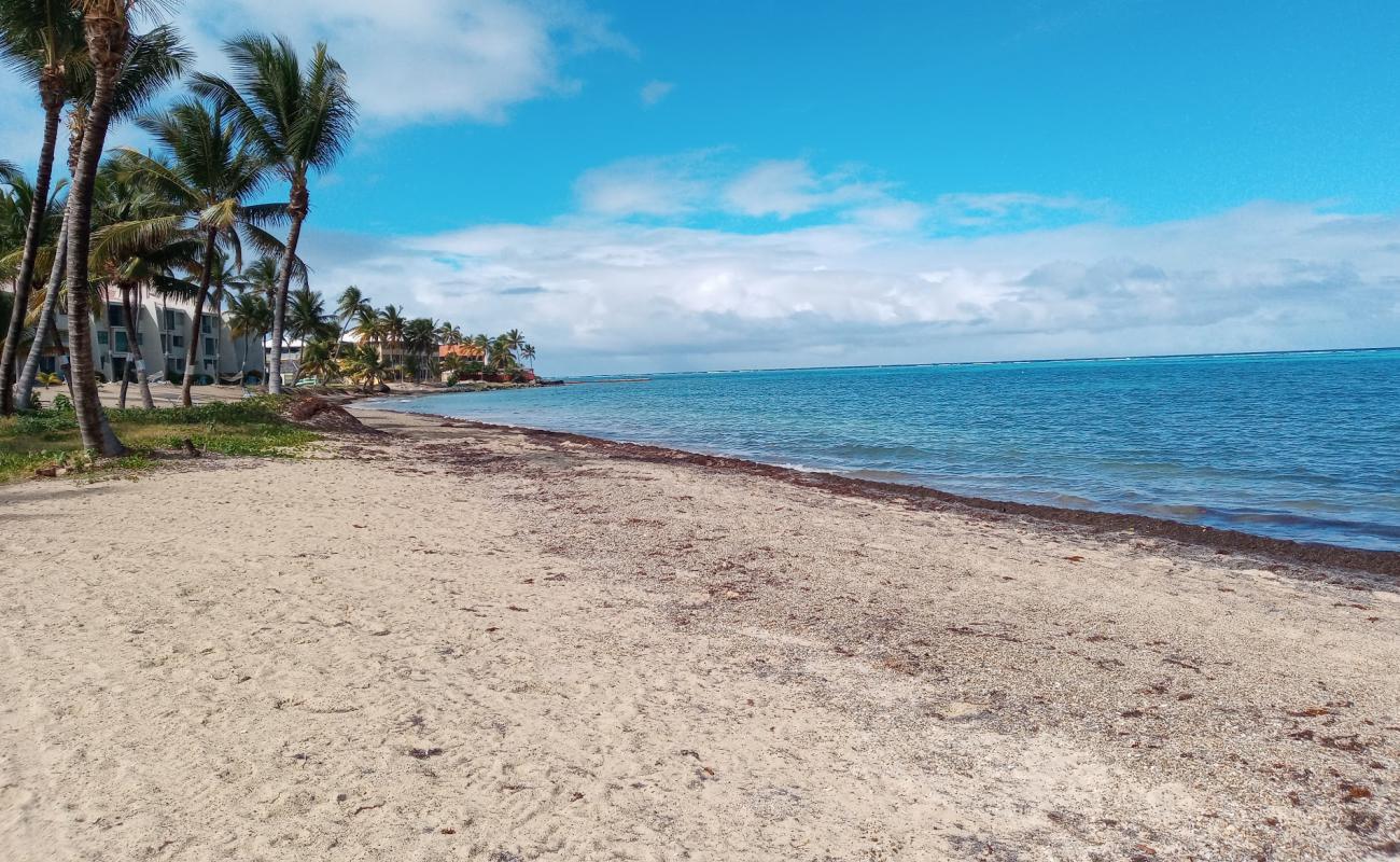 Photo de Sugar beach avec sable beige fin de surface