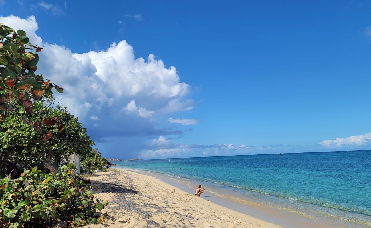 Photo de Little Bay beach avec sable beige fin de surface