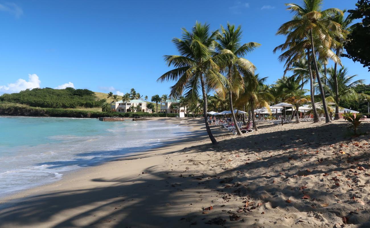 Photo de Buccaneer beach avec sable beige fin de surface
