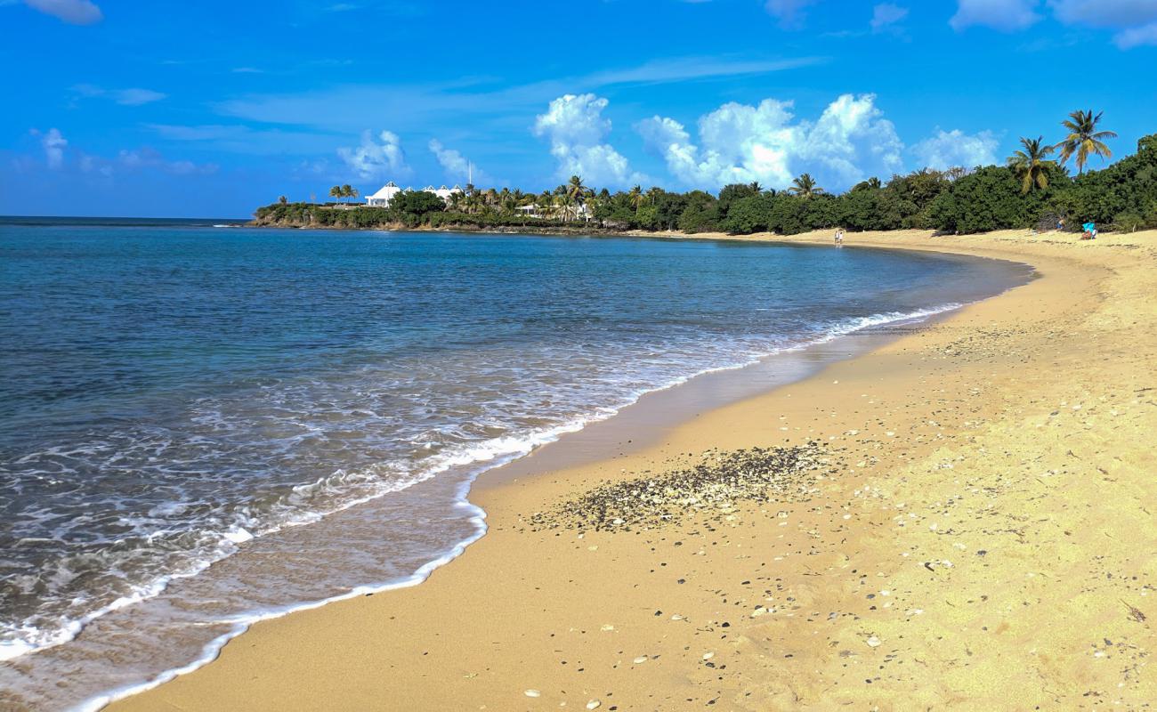 Photo de Shoys beach avec sable lumineux de surface