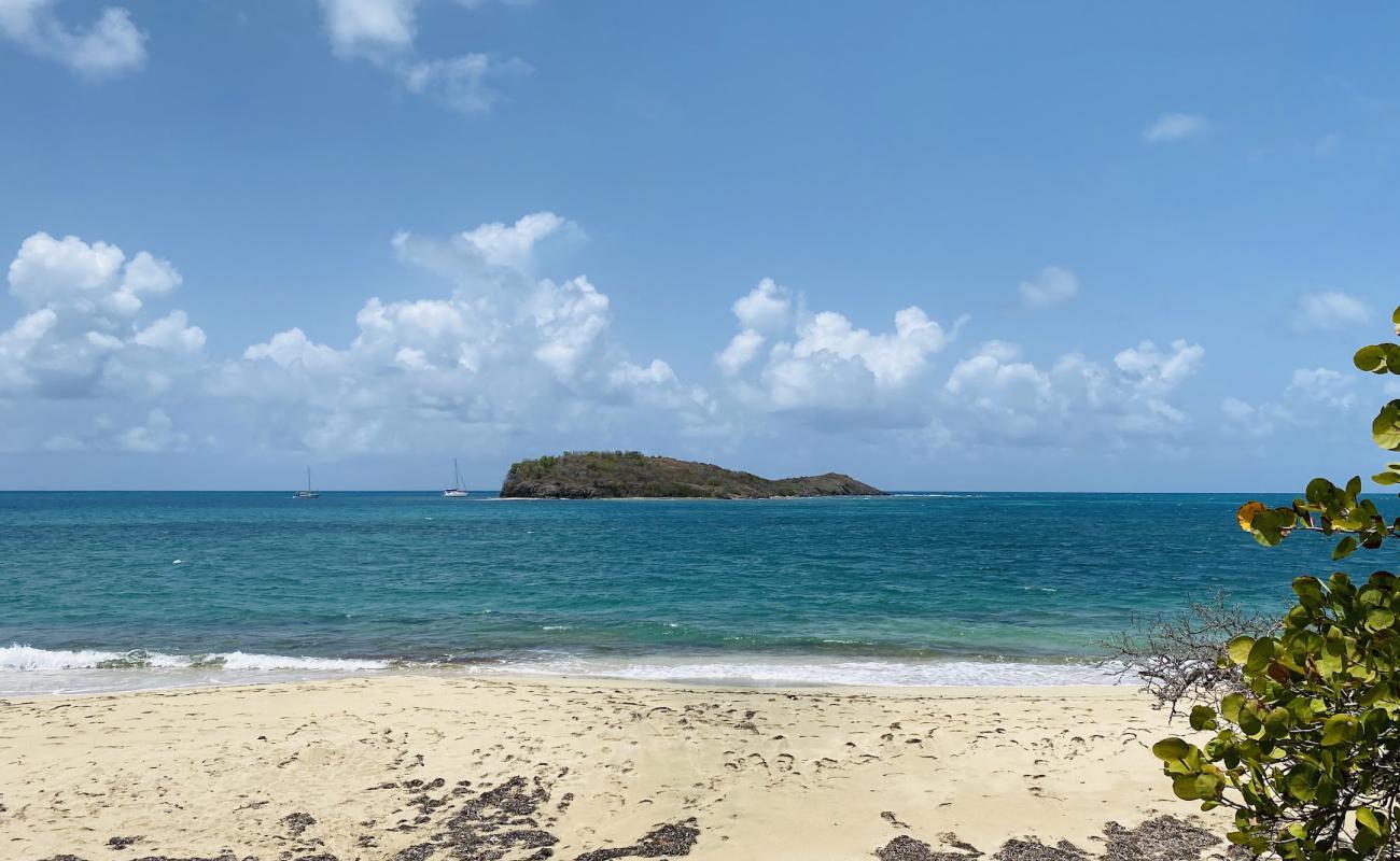 Photo de Tamarind Reef beach avec sable beige fin de surface