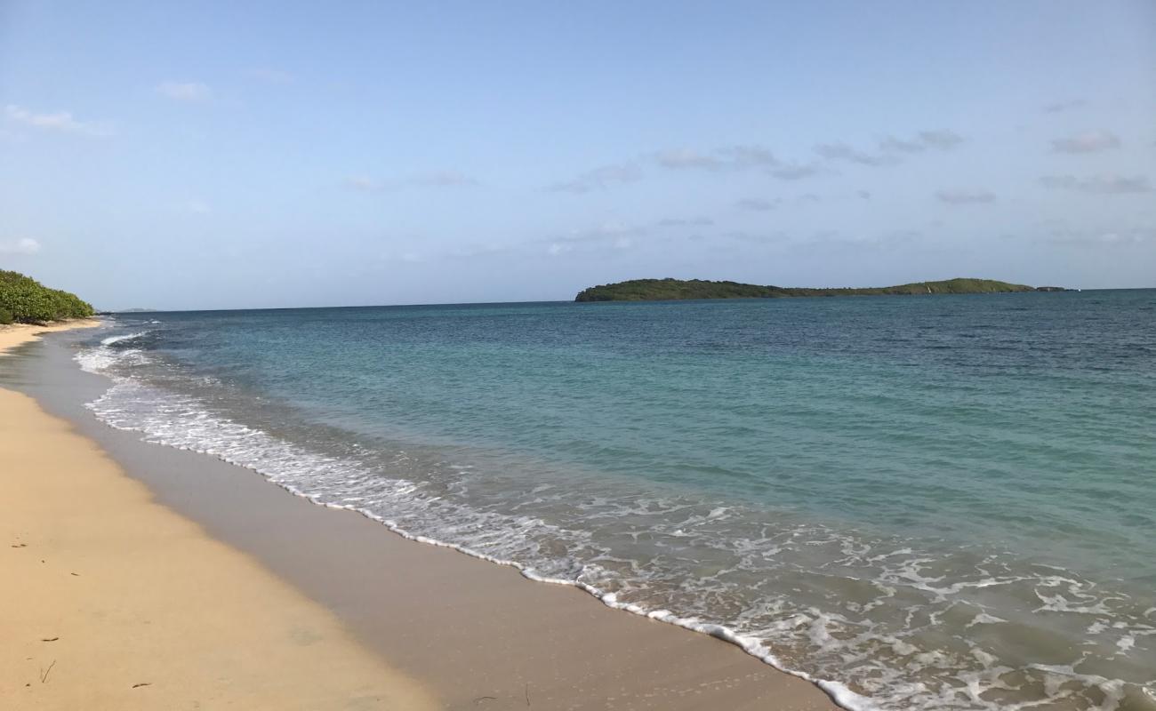 Photo de Smugglers Cove beach avec sable fin et lumineux de surface