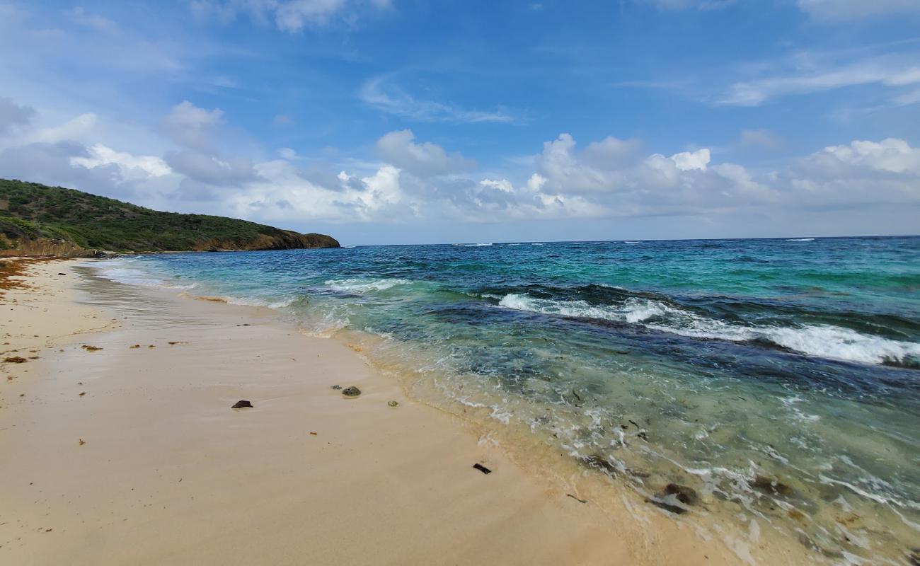 Photo de Isaacs Bay beach avec sable beige de surface
