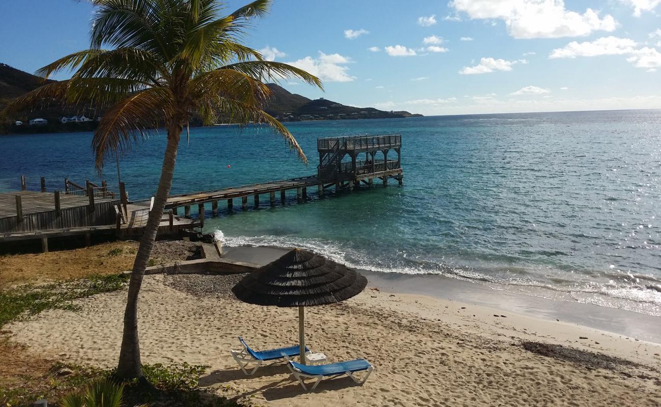 Photo de Grapetree beach avec sable beige fin de surface