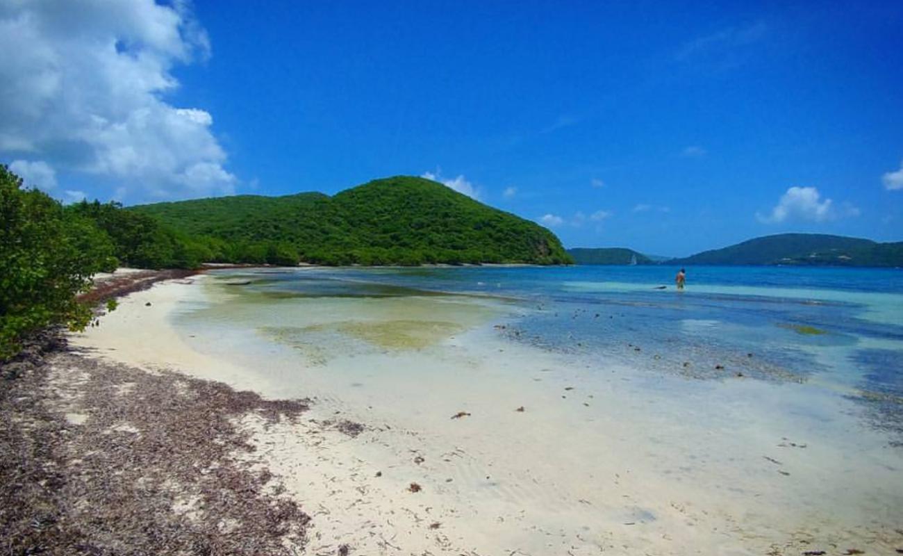 Photo de Brown Bay Beach avec sable beige de surface