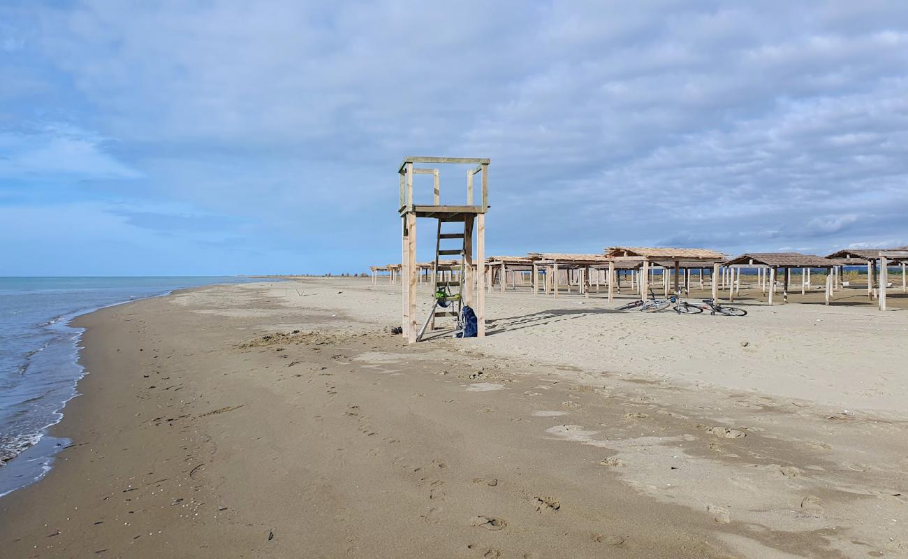 Photo de Divjaka Resort Beach avec sable gris de surface