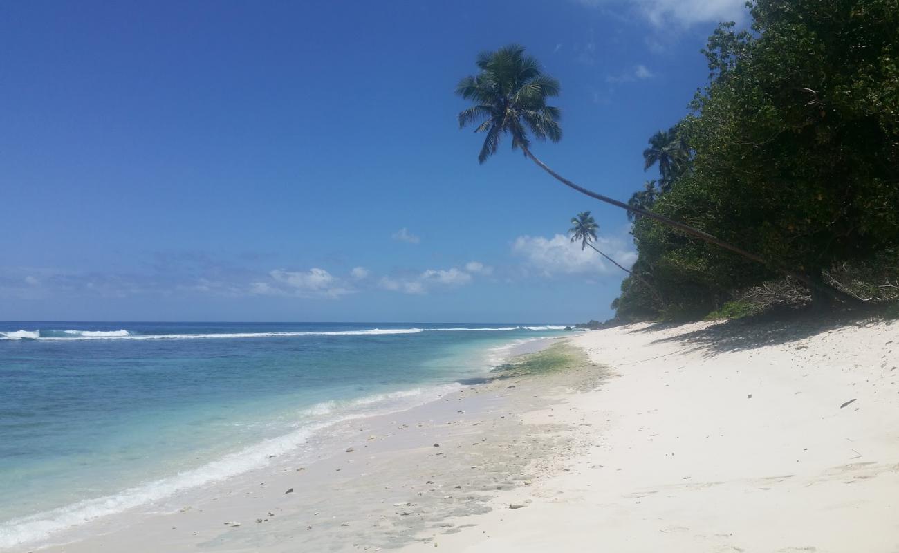 Photo de Faiaai Beach avec sable beige de surface