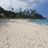 Plage du Paradis