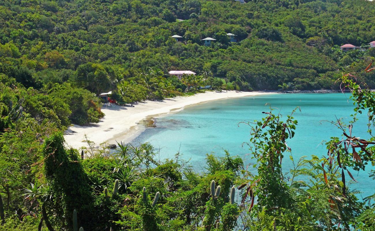 Photo de White Bay beach avec sable beige fin de surface