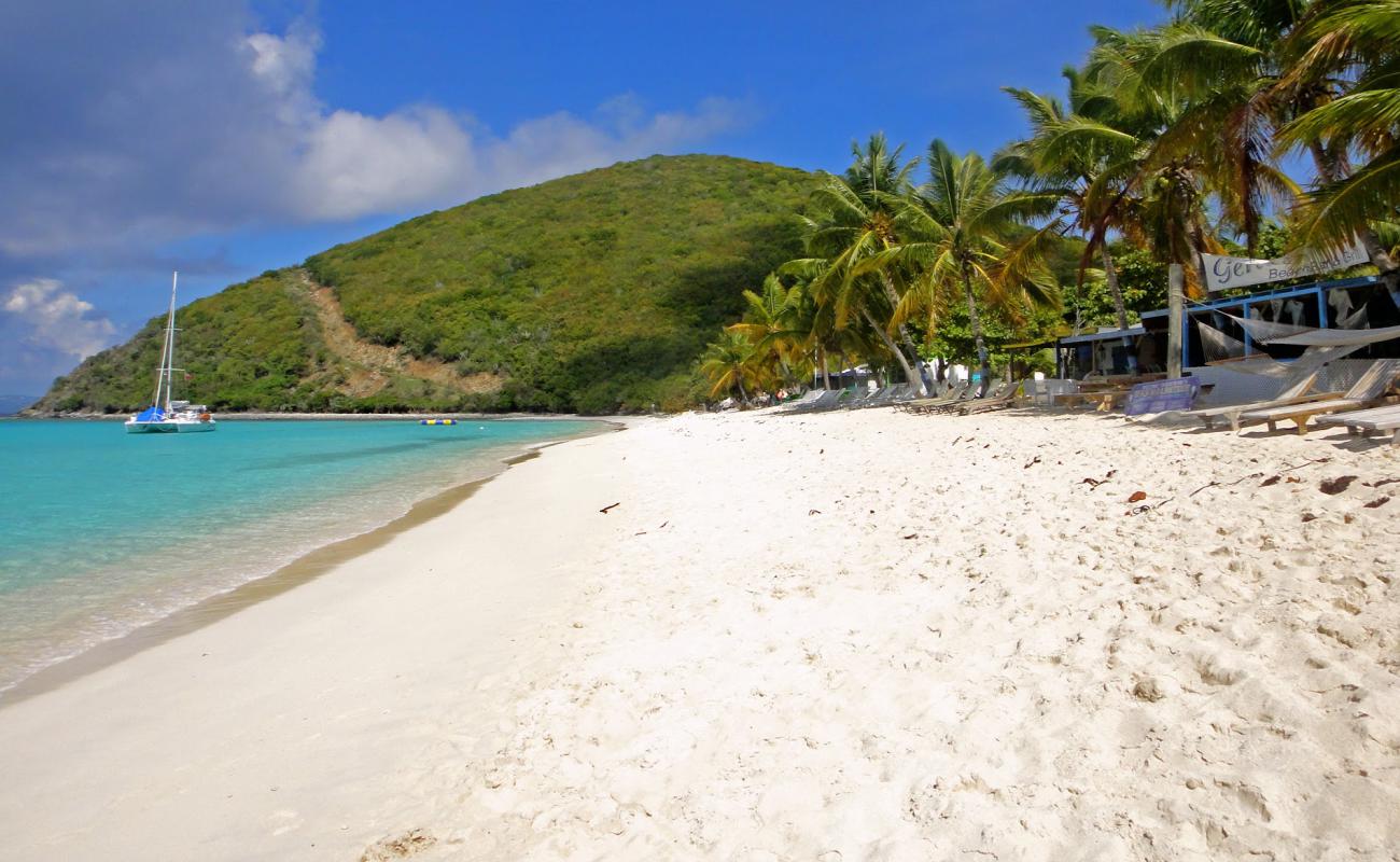 Photo de White Bay beach II avec sable fin et lumineux de surface