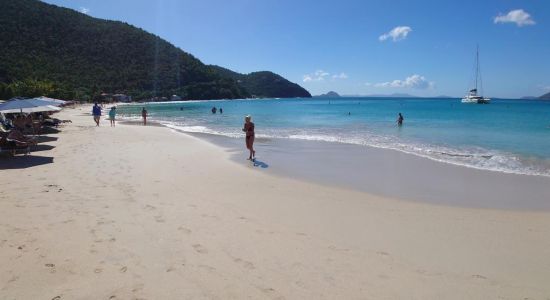 Plage de Cane Garden