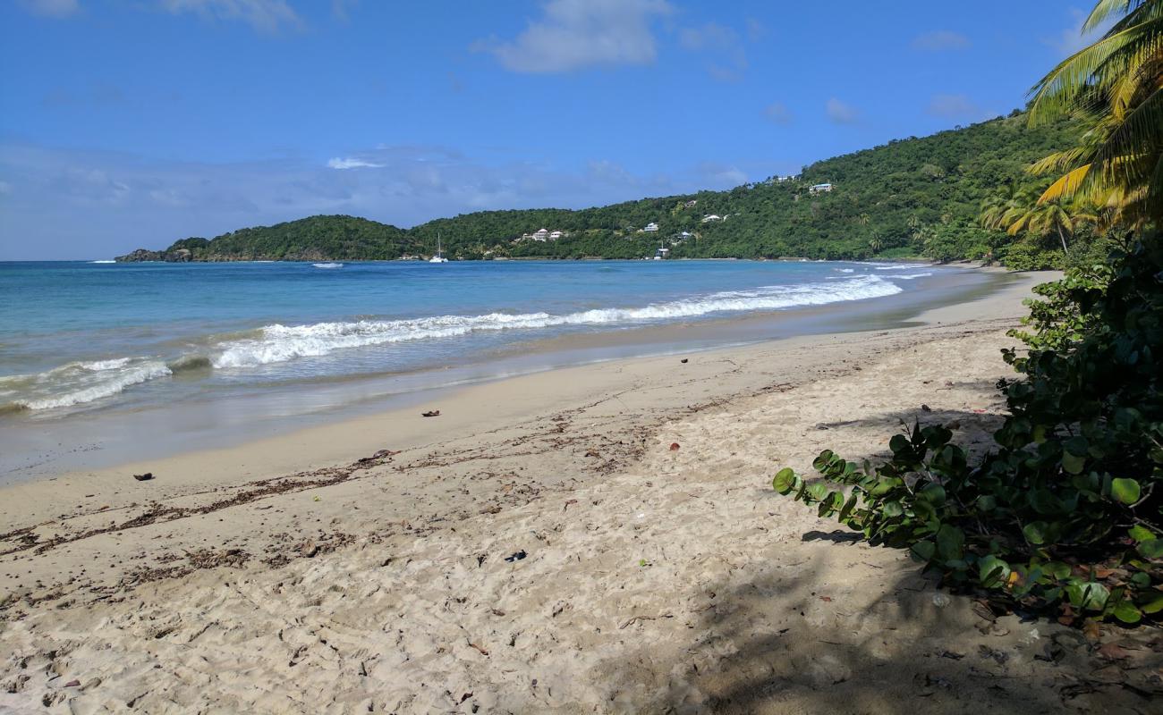 Photo de Brewers Bay beach II avec sable fin et lumineux de surface