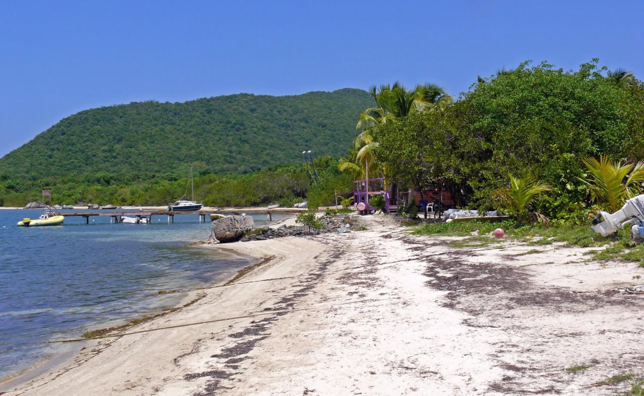 Photo de Trellis Bay avec sable beige de surface