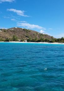 Guana Island