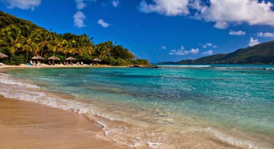 Plage de Little Dix Bay