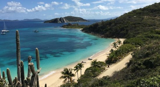 Plage de l'île Peter