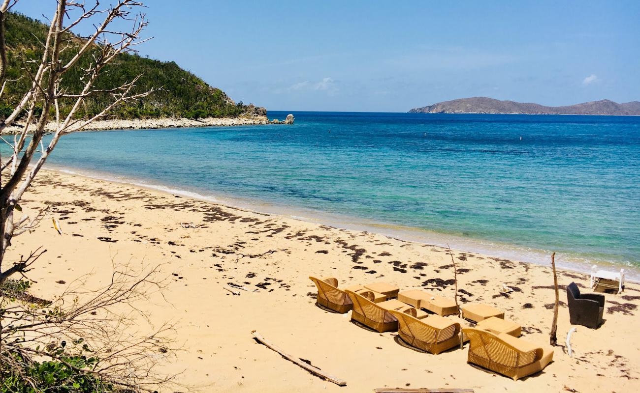 Photo de White Bay beach avec sable fin et lumineux de surface