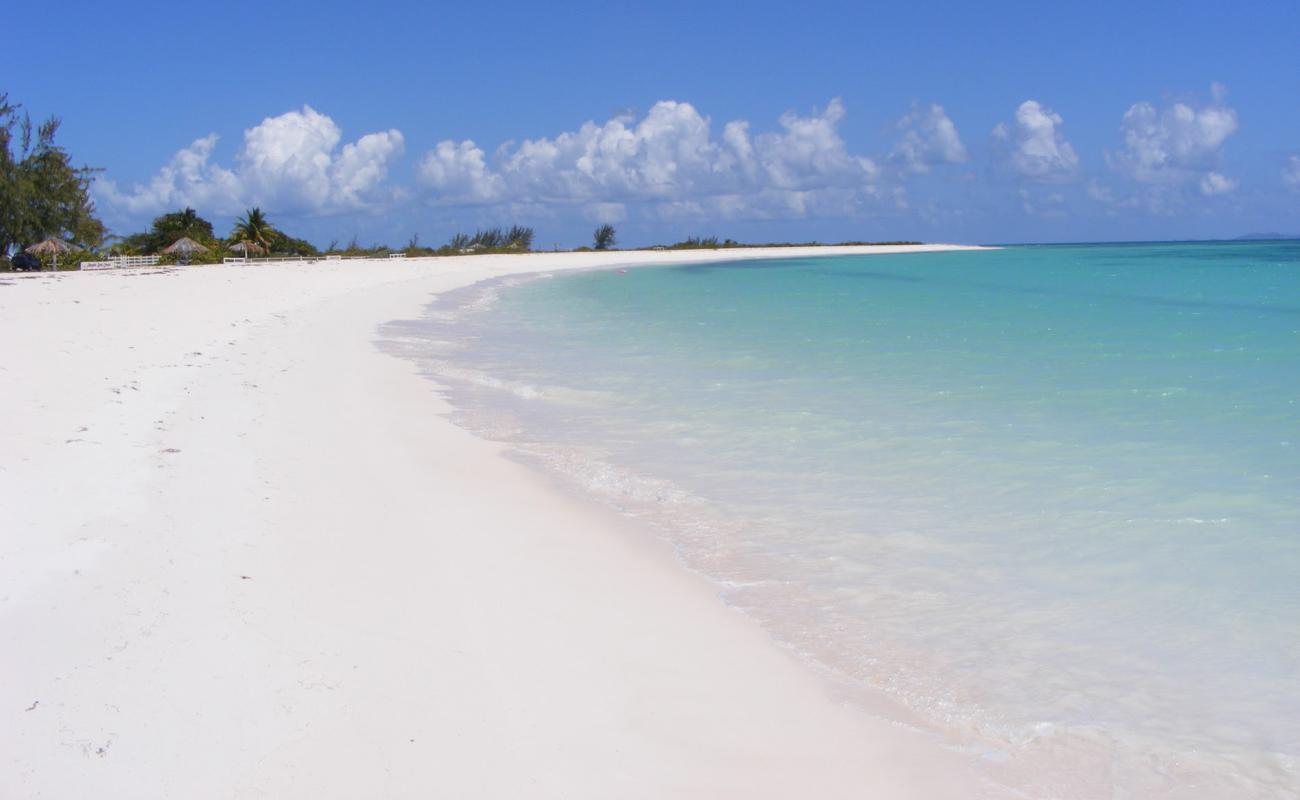 Photo de Pomato Point beach avec sable fin et lumineux de surface