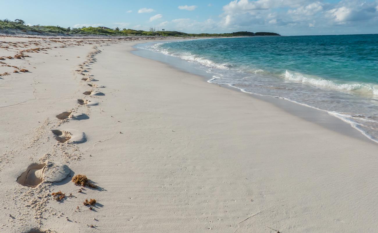 Photo de Whispering Pines avec sable beige fin de surface