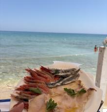 Flamingo beach club