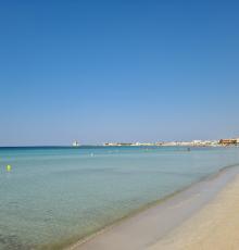 Lido La Pineta