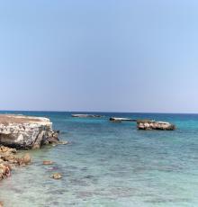 Zenzero Beach Club