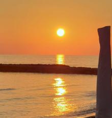 Tortuga ANZIO - STABILIMENTO BALNEARE