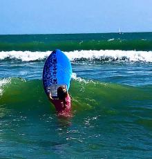 Scuola Surf Free Surf Arcade Anzio Lido Garda