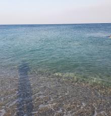 Lido Il Delfino Blu, Ristorante e Pizzeria