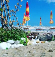Las Palmeras Beach