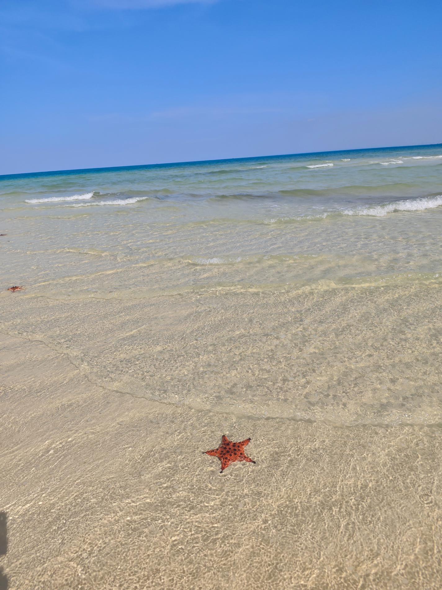 Photo of Pagoda Beach
