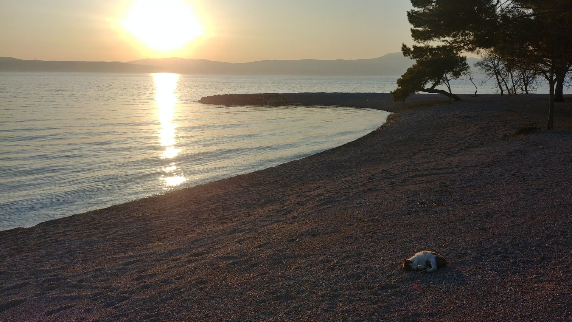 Photo de Adriatic II beach - endroit populaire parmi les connaisseurs de la détente