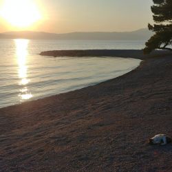 Photo de Adriatic II beach zone des équipements