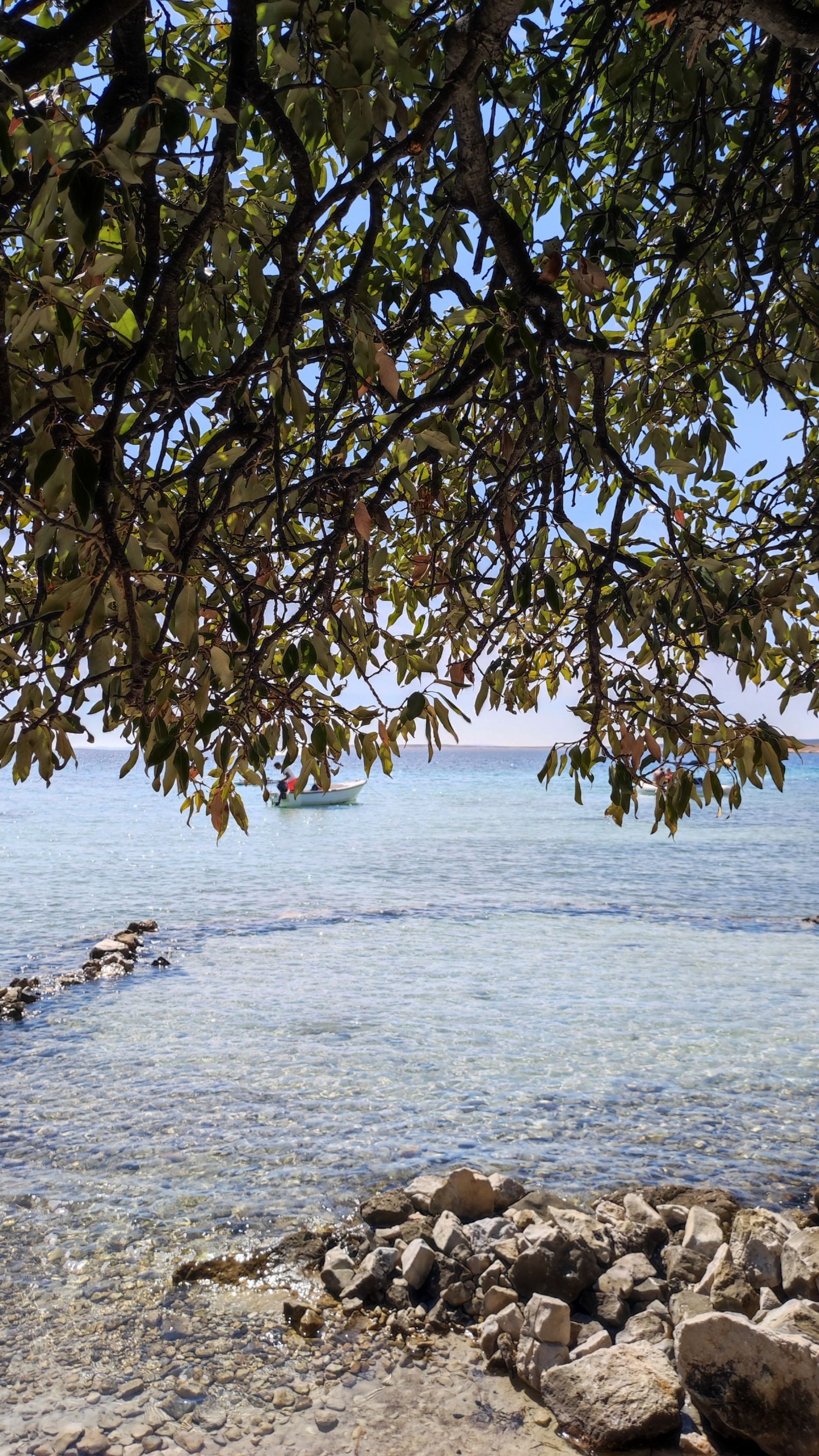 Photo de Dunboka Draga zone sauvage