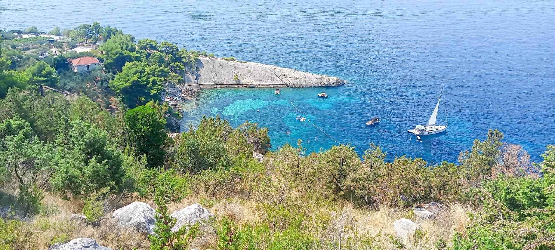 Photo de Malo Zarace beach - bon endroit convivial pour les animaux de compagnie pour les vacances