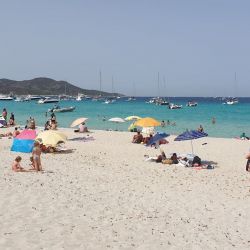 Photo de Plage de Saleccia avec un niveau de propreté de très propre