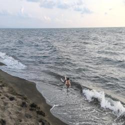 Photo de Shekvetili beach avec rivage droit, long