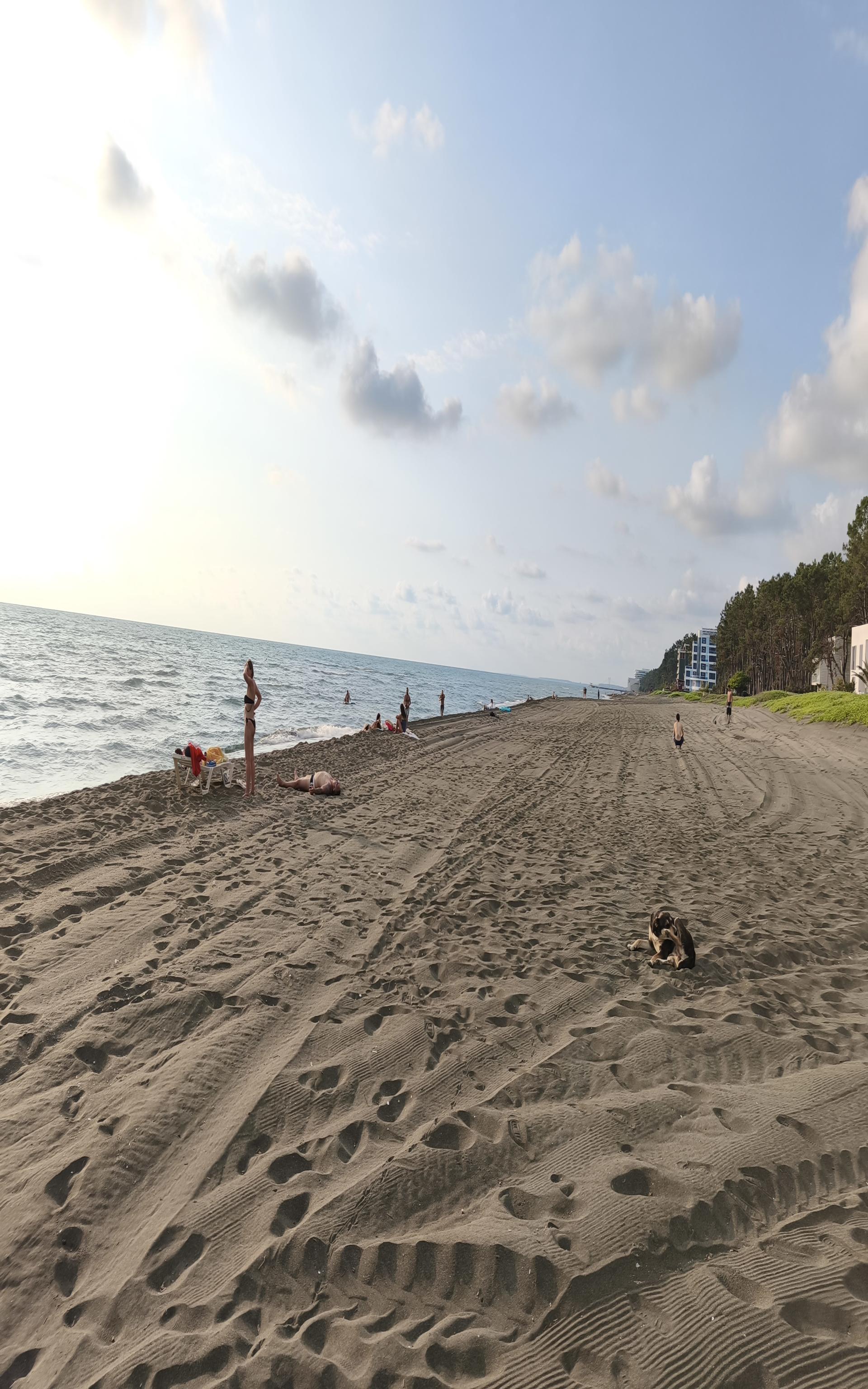 Photo de Shekvetili beach zone des équipements