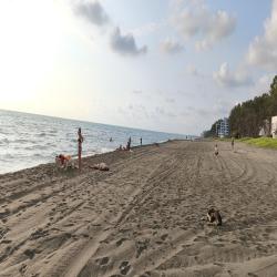 Photo de Shekvetili beach zone des équipements