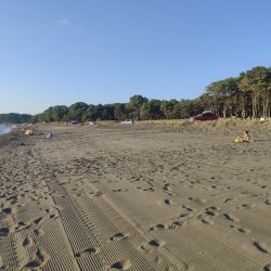 Photo de Ureki Nature beach avec un niveau de propreté de sale