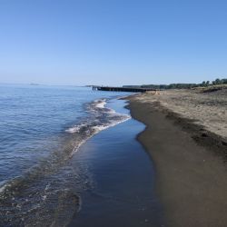 Photo de Ureki Nature beach situé dans une zone naturelle