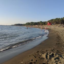 Photo de Ureki Nature beach zone des équipements