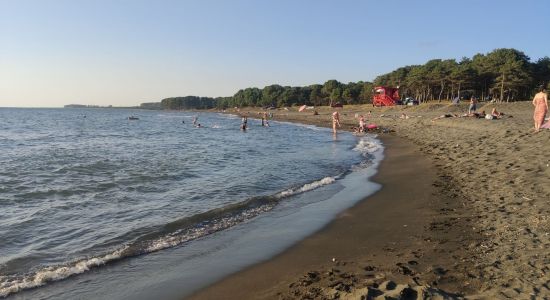 Ureki Nature beach