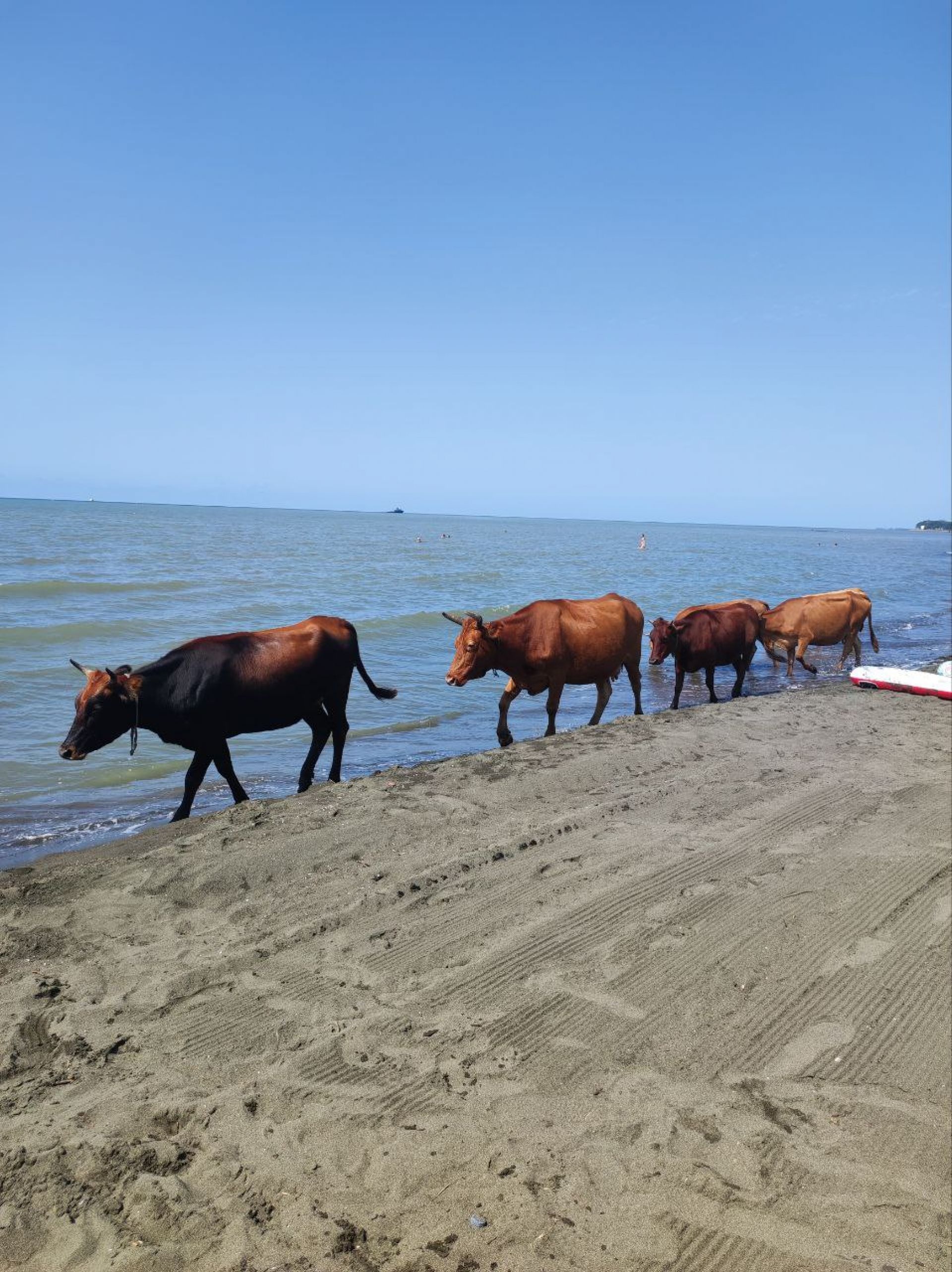Photo of Ureki Nature beach