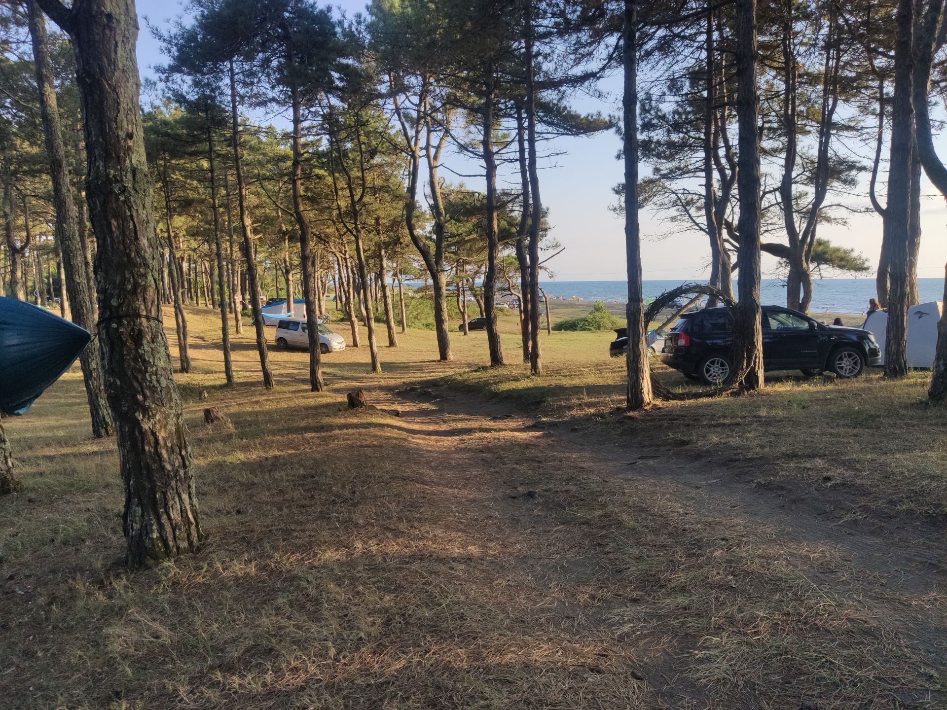 Photo of Ureki Nature beach