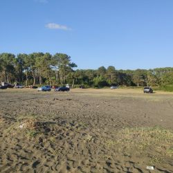 Photo de Ureki Nature beach avec droit et long