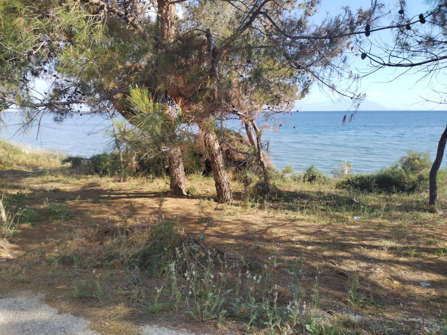 Photo de Mesimvria Zoni beach situé dans une zone naturelle