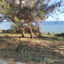 Photo de Mesimvria Zoni beach situé dans une zone naturelle