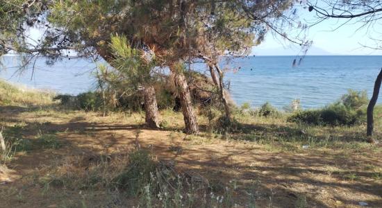 Mesimvria Zoni beach